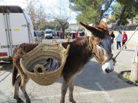 Markttag in Sineu - der Mittwoch