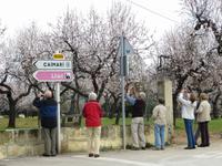 Mandelblüte auf Mallorca