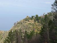 An der Westküste – nach den Bränden von 2013