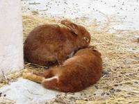 Im Landgut La Granja