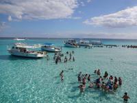 Ausflug zu den Stachelrochen