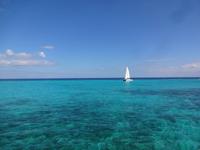 Meer vor Grand Cayman