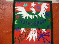 Robert Brady Museum