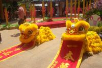 Drachen zum chinesischen Neujahr