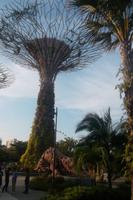 Gardens by the Bay