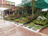 Freitagsmarkt auf dem Weg zur Ostküste