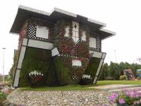 Miracle Gardens in Dubai