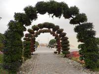 Miracle Gardens in Dubai