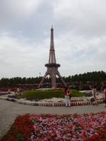 Miracle Gardens in Dubai