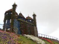 Miracle Gardens in Dubai