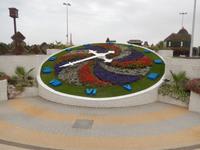 Miracle Gardens in Dubai