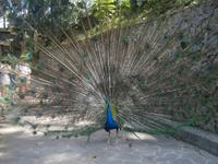 Malaysia, Kuala Lumpur