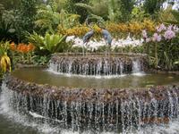 Singapur, Orchideen Garten