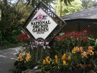 Singapur, Orchideen Garten