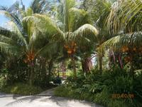 Singapur, Garden by the Bay