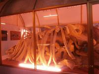 Vung Tau, Walltempel