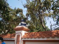 Vung Tau, Walltempel