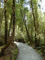 Wanderung zum Reflection Lake