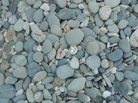 Strandspaziergang an der Tasman sea