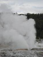 Geysir im Te Puja Park