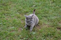 auf der Farm von Ron und Beth