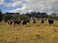 auf der Farm von Ron und Beth