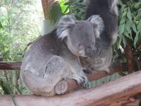 im Wildlife Park