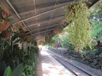 Kuranda Bahnhof