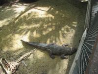 Rainforest Habitat Wildlife Park