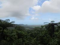 Daintree Nationalpark