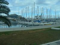 Sizilien, Palermo, Yachthafen und Monte Pellegrino