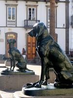 Las Palmas de Gran Canaria