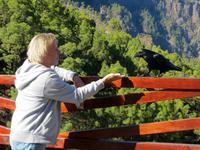 Gespräch unter Einheimischen