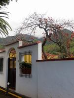 Las Nieves, La Palma