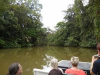 038 Costa Rica - Tortuguero - Bootsfahrt
