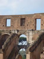 im Colosseum