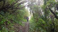 Camino de Sabinosa