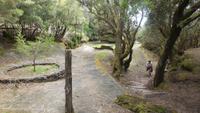 Wanderung zum Gipfel