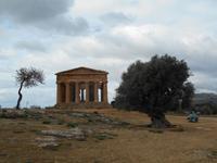 Tal der Tempel in Agrigent (Concordia-Tempel)