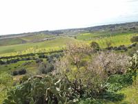 Ausblick vom Tal der Tempel in Agrigent
