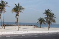 Sharjah Stadtrundfahrt 