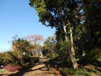 Allee Botanischer Garten Funchal