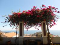 Ausblick von Weinberg