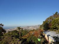 Blumenmosaik Botanischer Garten Funchal