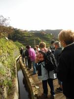 Levada-Wanderung Marocos (2)