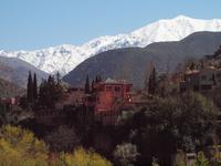 Ausflug ins Ourika-Tal