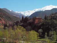 Ausflug ins Ourika-Tal