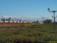 Stadtmauer Marrakesch - Hoher Atlas im Hintergrund