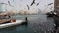Dubai Creek - Rundreise Arabische Emirate