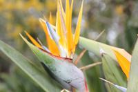 IMG_2497